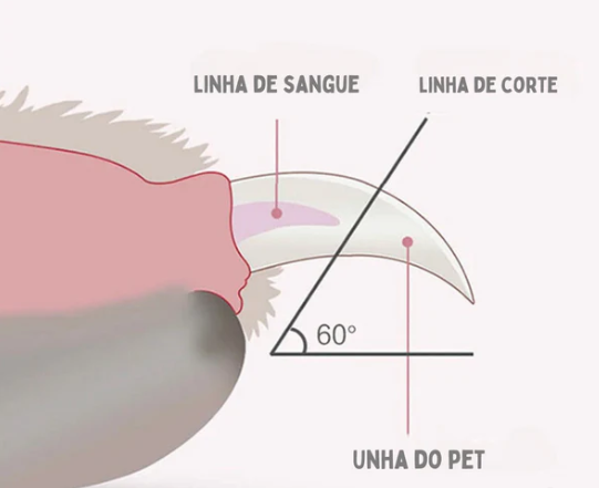 Pawluminex Electric Nail Trimmer with Safety LED Light